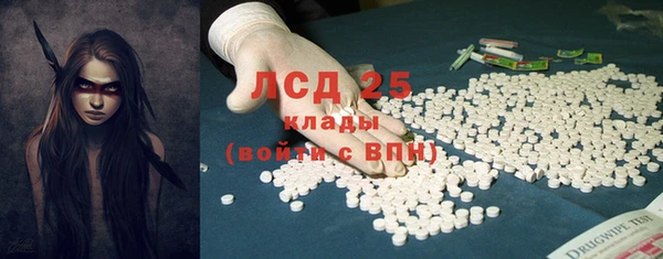 тгк Новозыбков