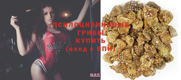 дживик Нея
